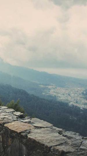 手机 seo排名工具截图1