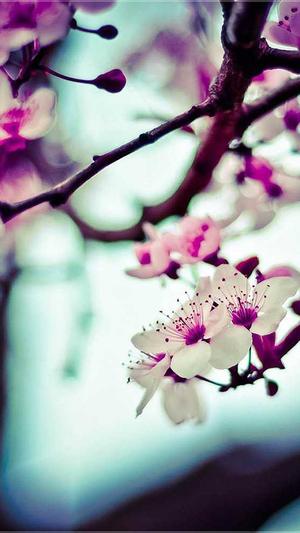 安徽省建设厅官方网站截图3