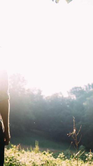 超级蜘蛛池最新章节截图2