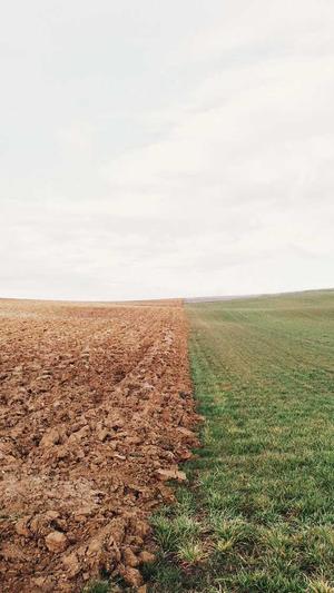 学校网站建设截图3