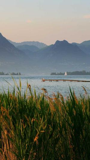 重庆seo查排名截图5