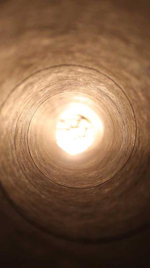 蜘蛛池使用视频讲解截图5