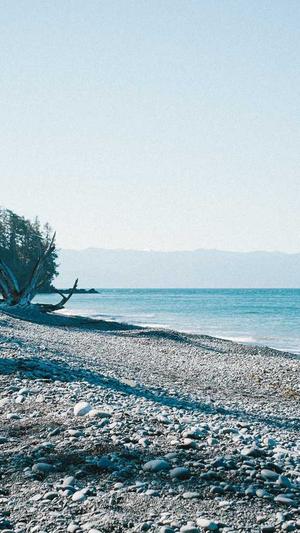 苏州交友网站建设截图1