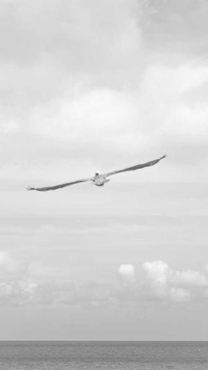 多语言蜘蛛池截图2