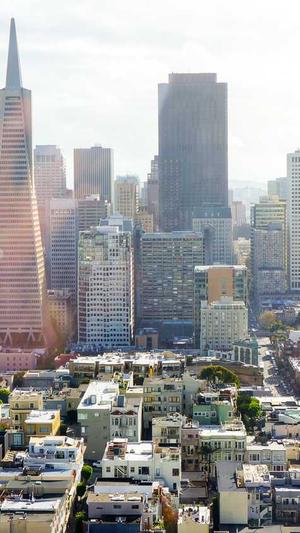 红色蜘蛛池截图1