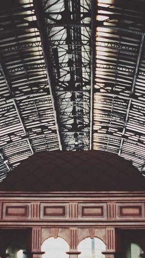 天津神马蜘蛛池租用截图1