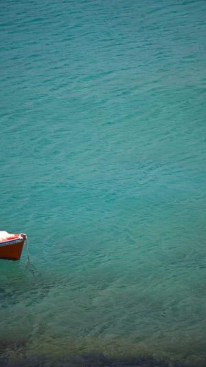 快速seo快排工具截图3