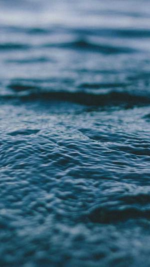 陈默蜘蛛池8.6截图4