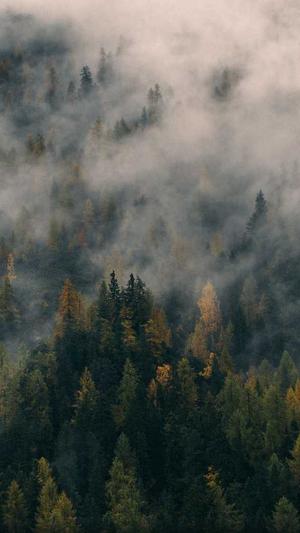 陕西头条蜘蛛池租用截图5