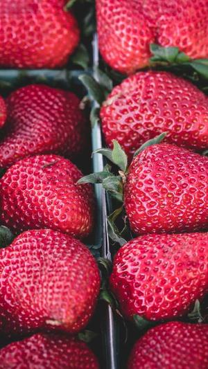 蜘蛛池域名使用久了截图5