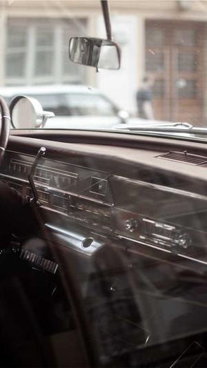 什么蜘蛛池比较好养截图3