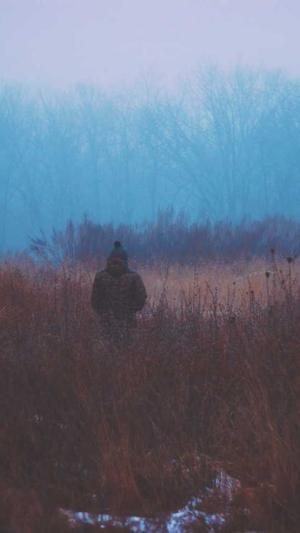 泛目录推广接单网站截图1