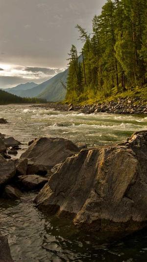 搜狗蜘蛛池权重截图1