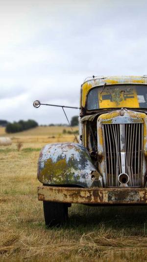 站长工具seo推广站长工具查询截图2