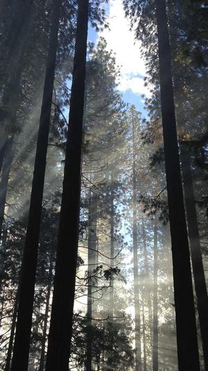 轴承网站建设截图5