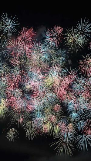 泛目录内页站群程序截图3