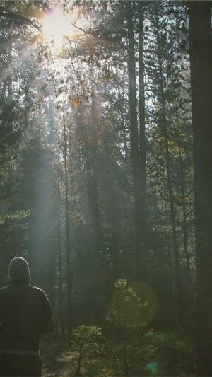 国内外网站建设截图3