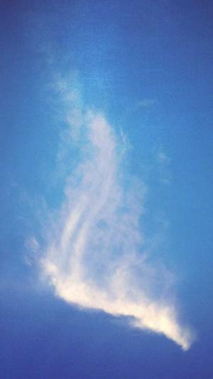 在线seo工具seo顾问截图4