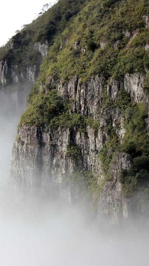 黑帽seo seo工具截图1